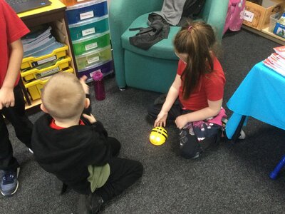 Image of Year 1 (Class 3) - Computing - Bee Bots