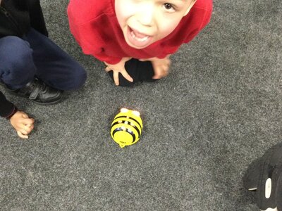 Image of Year 1 (Class 3) - Computing - Beebots