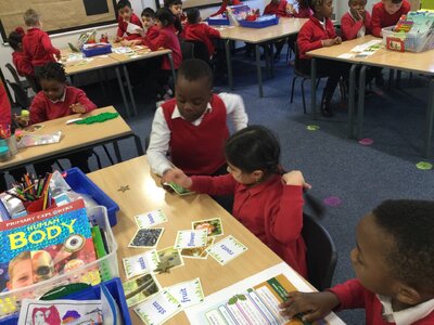 Image of Year 1 (Class 4) - Science - Plants