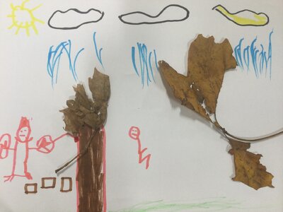 Image of Year 1 (Class 4) - Science - Seasonal Changes