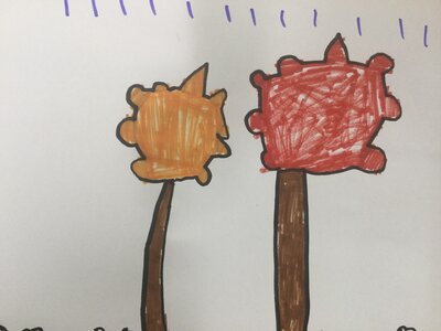 Image of Year 1 (Class 4) - Science - Seasonal Changes