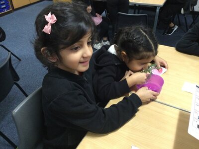 Image of Year 1 (Class 4) - Science - Senses