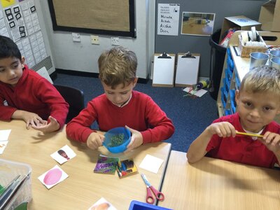Image of Year 1 (Class 4) - Science - Senses