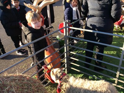 Image of Year 2 (Class 6) - Festive Farm