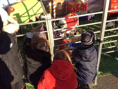 Image of Year 2 (Class 6) - Festive Farm