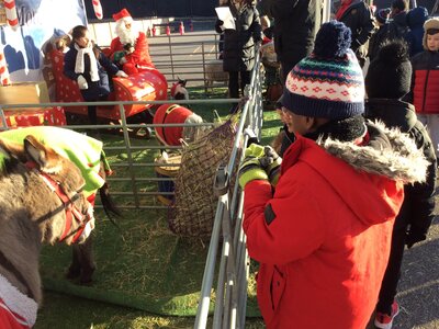 Image of Year 2 (Class 6) - Festive Farm