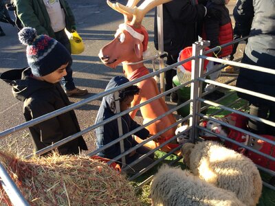 Image of Year 2 (Class 6) - Festive Farm
