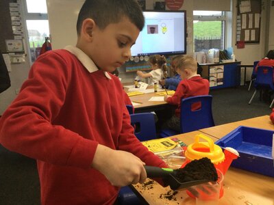 Image of Year 2 (Class 6) - Science - Plants