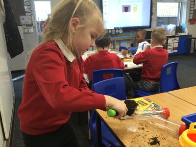 Image of Year 2 (Class 6) - Science - Plants