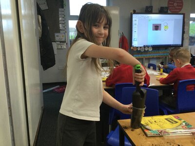 Image of Year 2 (Class 6) - Science - Plants