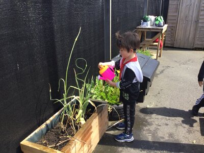 Image of Year 1 - Science - Plants & Water