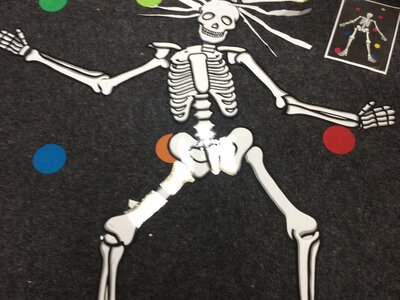 Image of Year 2 (Class 5) - Funnybones