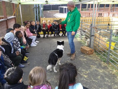 Image of Year 2 (Class 7) - Farm Visit