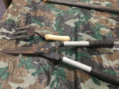 Image of Year 3 (Class 7) - Science - Gardening