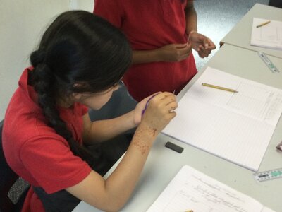 Image of Year 3 (Class 7) - Science - Magnetism