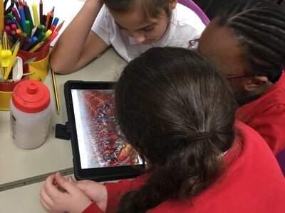 Image of Year 3 (Class 8) - Computing - Presentation Backgrounds