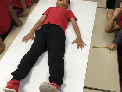 Image of Year 3 (Class 8) - Science - Amazing Bodies