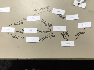 Image of Year 3 (Class 8) - Science - Concept Mapping