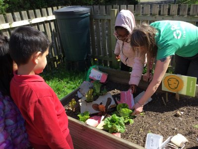 Image of Year 3 (Class 8) - Science - Grow to School Update (2026)