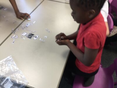 Image of Year 3 (Class 8) - Science - Human Skeletons