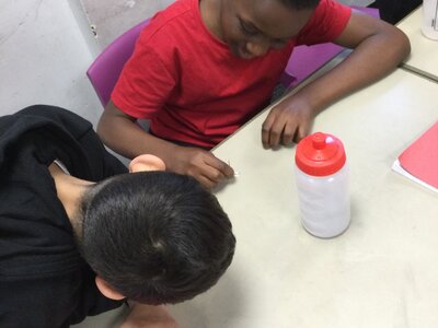 Image of Year 3 (Class 8) - Science - Magnets
