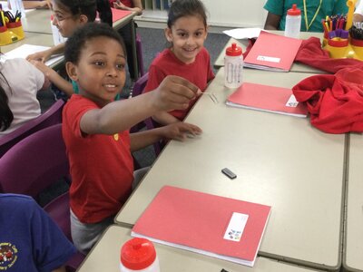 Image of Year 3 (Class 8) - Science - Magnets