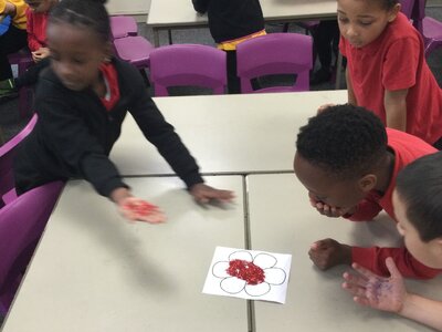 Image of Year 3 (Class 8) - Science - Pollination