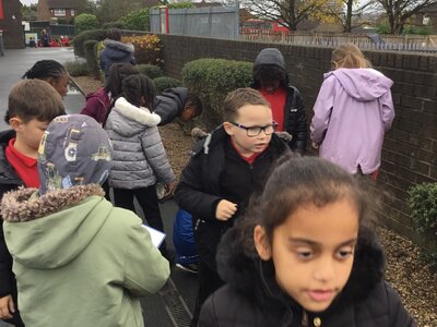 Image of Year 3 (Class 8) - Science - Rock Hunt
