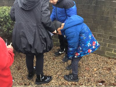 Image of Year 3 (Class 8) - Science - Rock Hunt