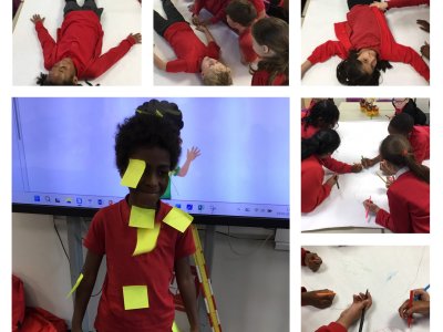 Image of Year 3 (Class 8) - Science - The Human Body