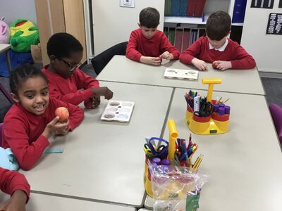 Image of Year 3 - Wildlife Club - Bird Feeders