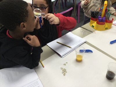 Image of Year 3 (Class 9) - Science - Human Teeth and Drinks