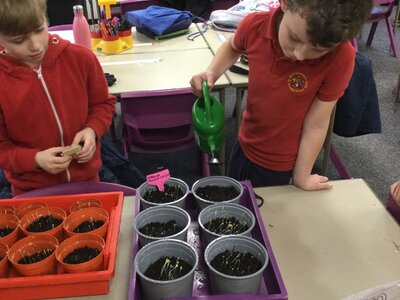 Image of Year 3 (Class 9) - Science - Wildlife Club - Checking our Crops