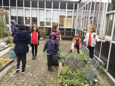 Image of Year 3 (Class 9) - Science - Wildlife Club