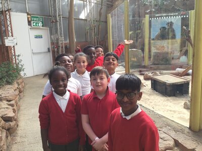 Image of Year 4 (Class 10) - Geography - Tropical World Trip