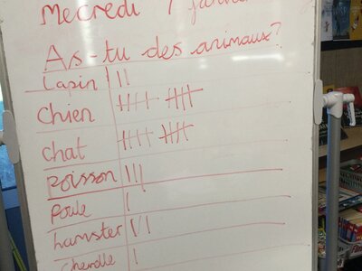 Image of Year 4 (Class 10) - Languages - Animal Names