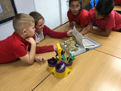 Image of Year 4 (Class 10 ) - R.E - The Bible