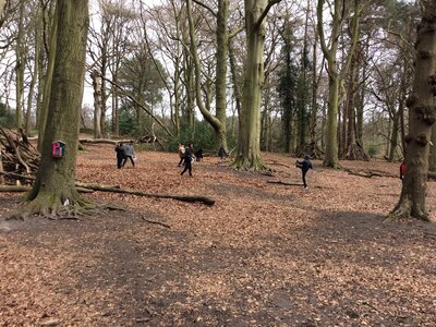 Image of Year 4 (Class 11) - Geography - Roundhay Park Trip