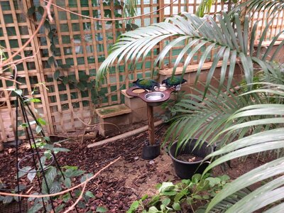 Image of Year 4 (Class 11) - Geography - Tropical World Trip