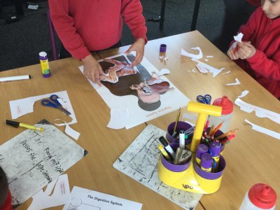 Image of Year 4 (Class 11) - Oracy / Science - Linguistic Skills