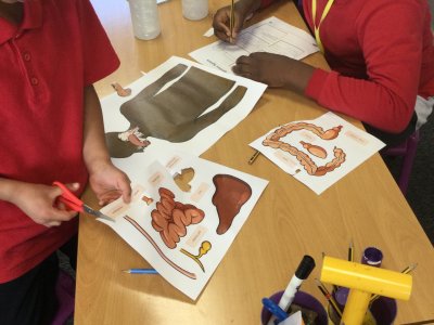 Image of Year 4 (Class 11) - Oracy / Science - Linguistic Skills