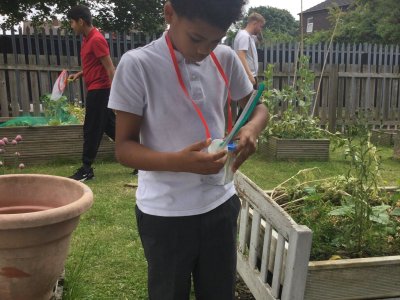 Image of Year 4 (Class 11) - Science - Bug Hunt