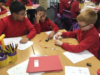 Image of Year 4 (Class 11) - Science - Different Circuits and Lights