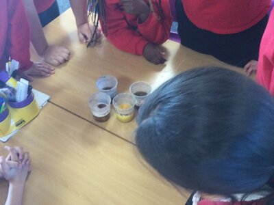 Image of Year 4 (Class 11) - Science - Dissolving of Chalk