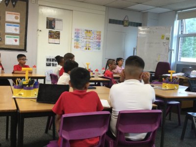 Image of Year 4 (Class 11) - Science - Endangered Animals