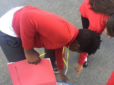 Image of Year 4 (Class 11) - Science - High Pitch Sounds