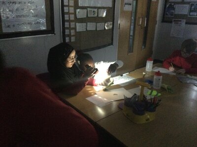 Image of Year 4 (Class 11) - Science - Light