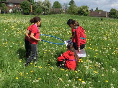 Image of Year 4 (Class 11) - Science - Living Things