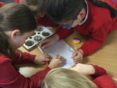 Image of Year 4 (Class 11) - Science - Soil Samples