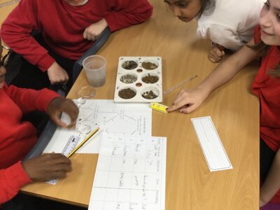 Image of Year 4 (Class 11) - Science - Soil Samples